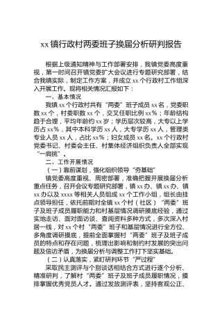 xx镇行政村两委班子换届分析研判报告