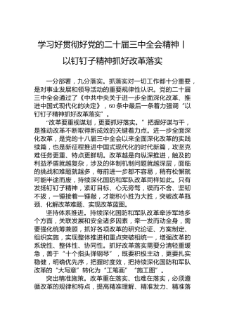 学习好贯彻好党的二十届三中全会精神——以钉钉子精神抓好改革落实