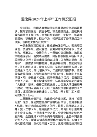 发改局2024年上半年工作情况汇报