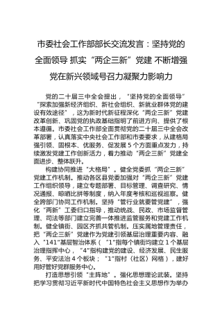 市委社会工作部部长交流发言：坚持党的全面领导抓实“两企三新”党建不断增强党在新兴领域号召力凝聚力影响力