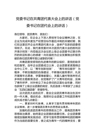 党委书记在共青团代表大会上的讲话（党委书记在团代会上的讲话）