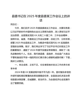 县委书记在2025年度县委某工作会议上的讲话