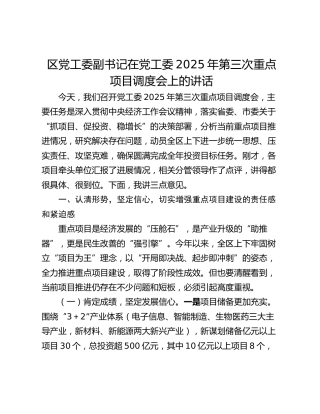 区党工委副书记在党工委2025年第三次重点项目调度会上的讲话