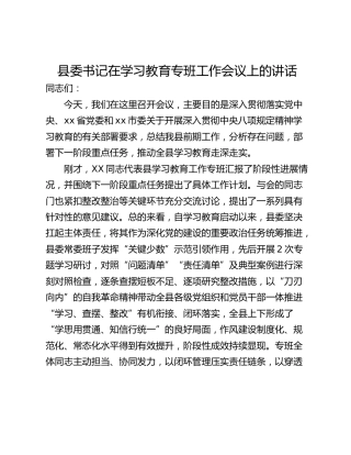 县委书记在学习教育专班工作会议上的讲话