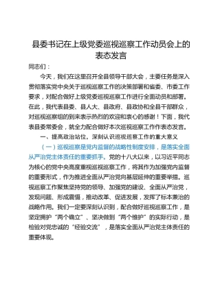 县委书记在上级党委巡视巡察工作动员会上的表态发言_1
