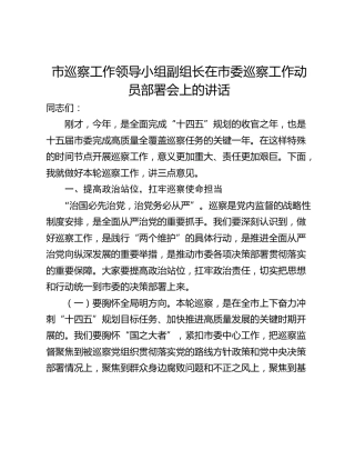市巡察工作领导小组副组长在市委巡察工作动员部署会上的讲话