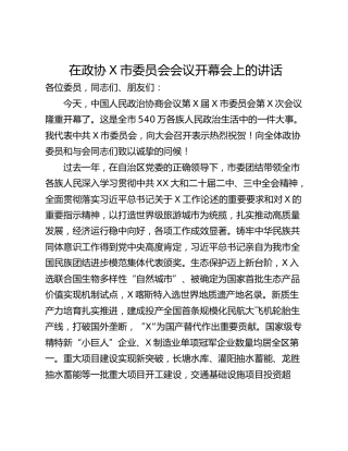 在政协X市委员会会议开幕会上的讲话