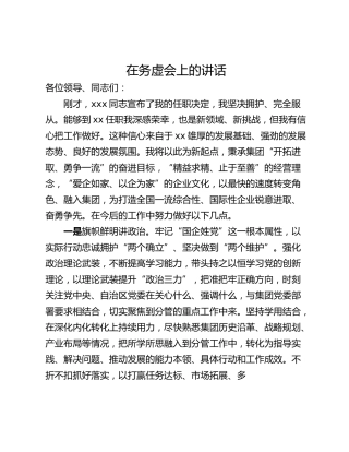 在务虚会上的讲话