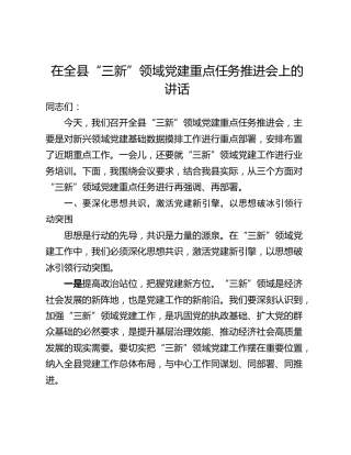 在全县“三新”领域党建重点任务推进会上的讲话