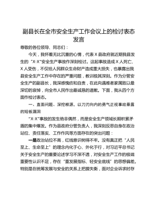副县长在全市安全生产工作会议上的检讨表态发言