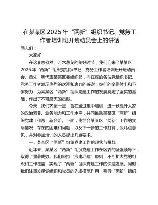 在某某区2025年“两新”组织书记、党务工作者培训班开班动员会上的讲话