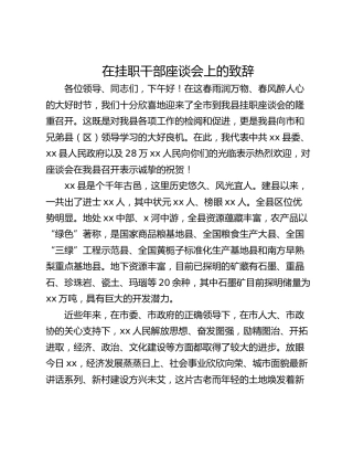 在挂职干部座谈会上的致辞
