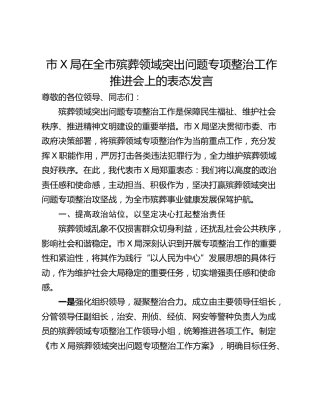 市X局在全市殡葬领域突出问题专项整治工作推进会上的表态发言