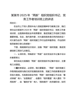 某某市2025年“两新”组织党组织书记、党务工作者培训班上的讲话