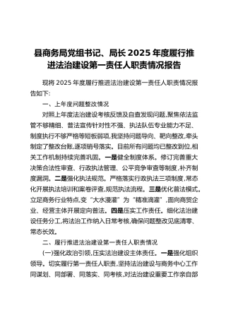 县商务局党组书记、局长2025年度履行推进法治建设第一责任人职责情况报告