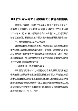 XX社区党支部关于巡察整改进展情况的报告 (2)