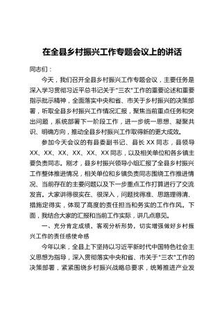 在全县乡村振兴工作专题会议上的讲话