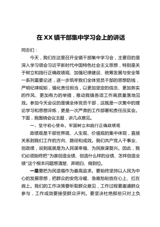 在XX镇干部集中学习会上的讲话