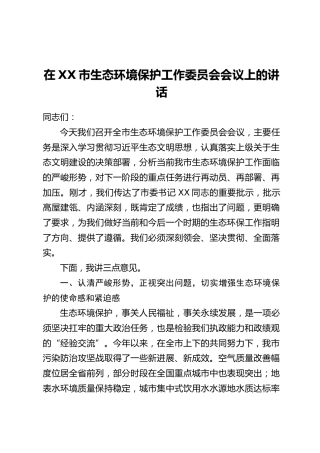 在XX市生态环境保护工作委员会会议上的讲话