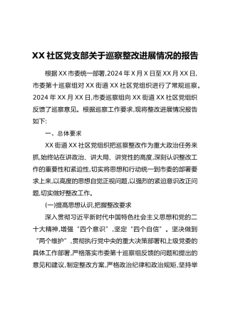 XX社区党支部关于巡察整改进展情况的报告（1）