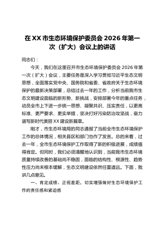 在XX市生态环境保护委员会2026年第一次(扩大)会议上的讲话