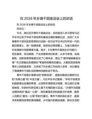 在2026年乡镇干部座谈会上的讲话