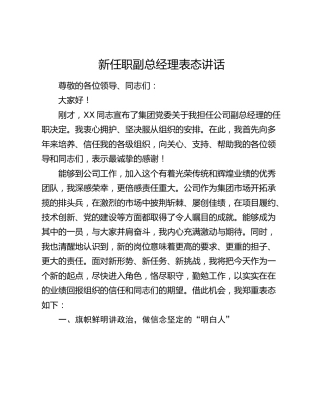 公司新任职副总经理表态讲话