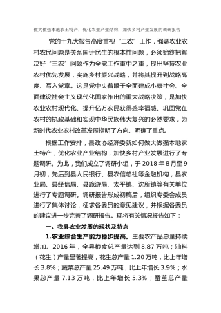 做大做强本地农土特产，优化农业产业结构，加快乡村产业发展的调研报告