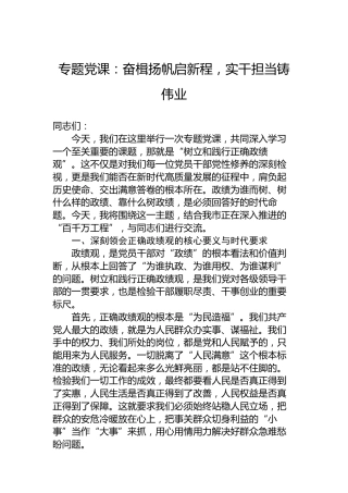 专题党课：奋楫扬帆启新程，实干担当铸伟业