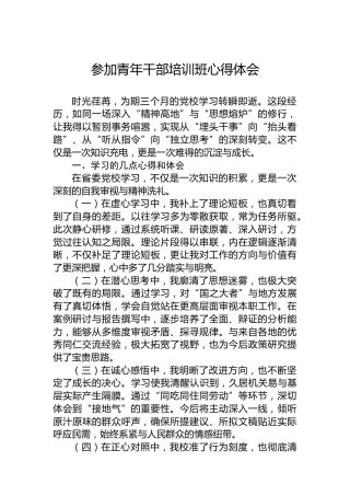 参加青年干部培训班心得体会