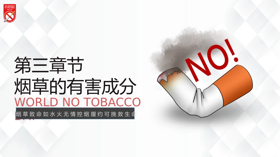 世界无烟日科普宣传PPT简约精美吸烟有害健康世界无烟日课件_第9页