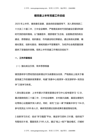 讲稿+PPT课件：镇党委上半年党建工作总结PPT模板