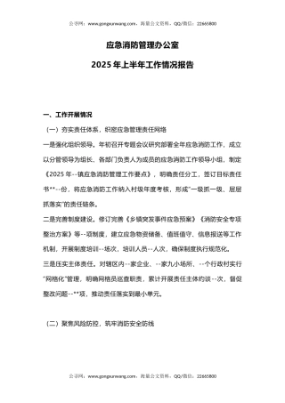 讲稿+PPT课件：应急消防管理办公室2025年上半年工作情况报告PPT模板