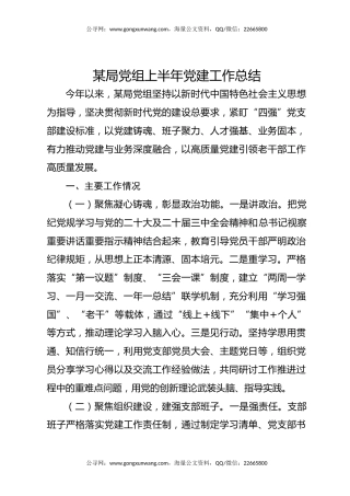 讲稿+PPT课件：某局党组上半年党建工作总结PPT模板
