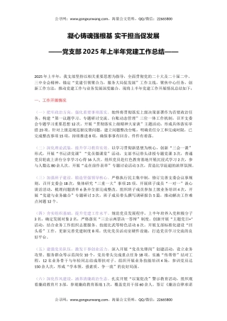 讲稿+PPT课件：党支部2025年上半年党建工作总结PPT模板
