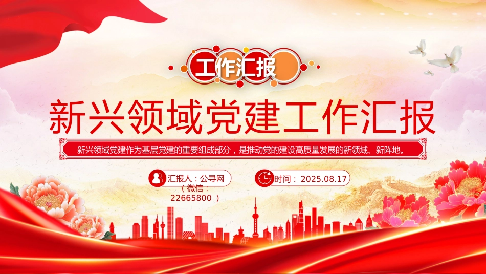 讲稿+PPT课件：新兴领域党建工作汇报_第1页