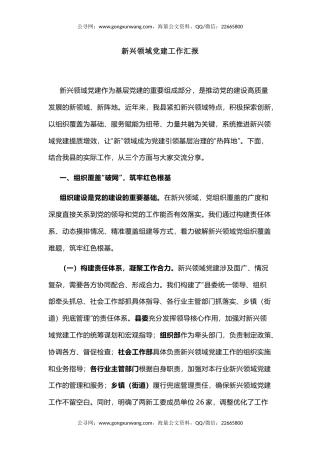 讲稿+PPT课件：新兴领域党建工作汇报