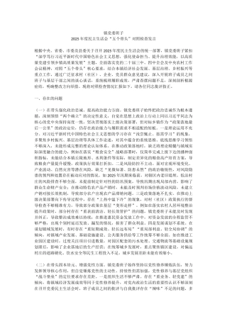 讲稿+PPT课件：镇党委班子2025年度民主生活会“五个带头”对照检查发言