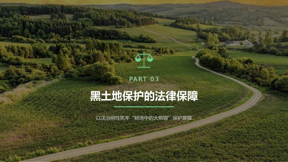 讲稿+PPT课件：黑土耕地保护守护“耕地中的大熊猫”_第10页