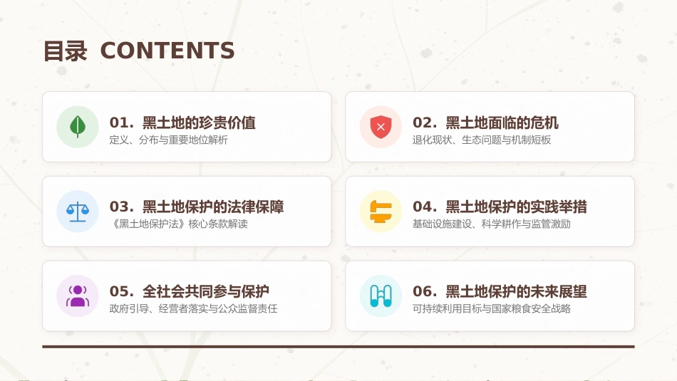 讲稿+PPT课件：黑土耕地保护守护“耕地中的大熊猫”_第2页