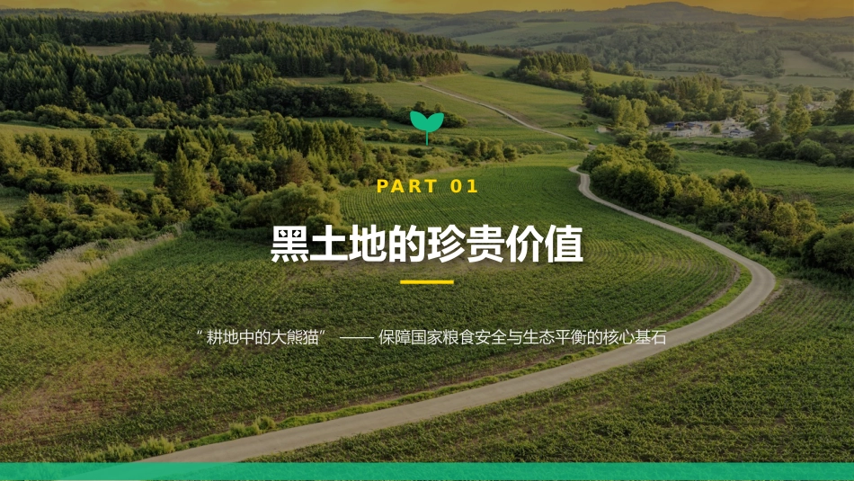 讲稿+PPT课件：黑土耕地保护守护“耕地中的大熊猫”_第3页