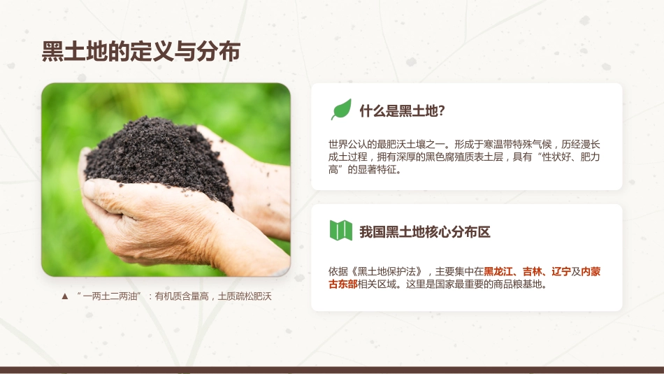 讲稿+PPT课件：黑土耕地保护守护“耕地中的大熊猫”_第4页