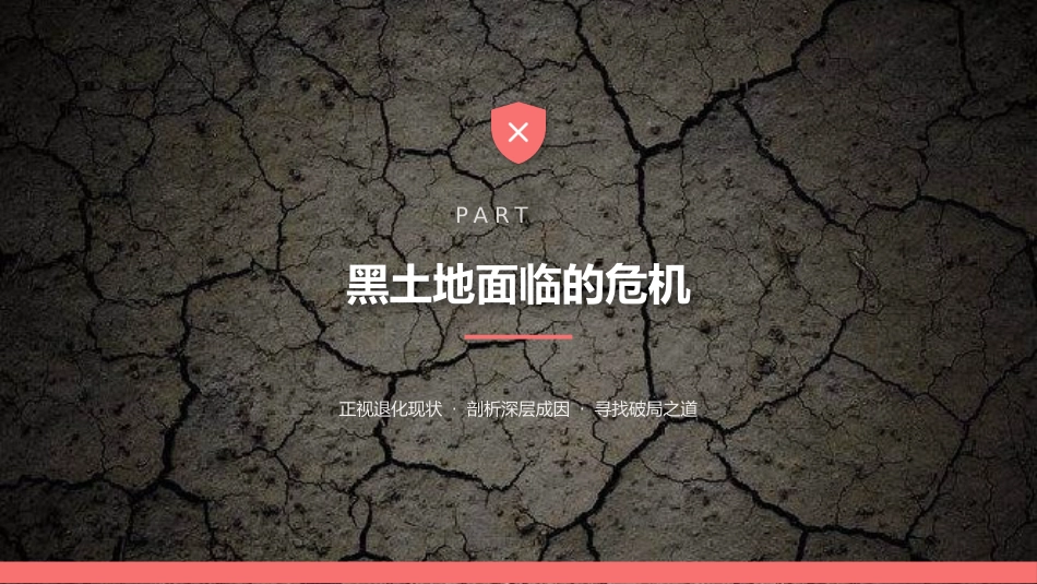 讲稿+PPT课件：黑土耕地保护守护“耕地中的大熊猫”_第6页