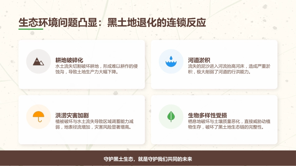 讲稿+PPT课件：黑土耕地保护守护“耕地中的大熊猫”_第8页
