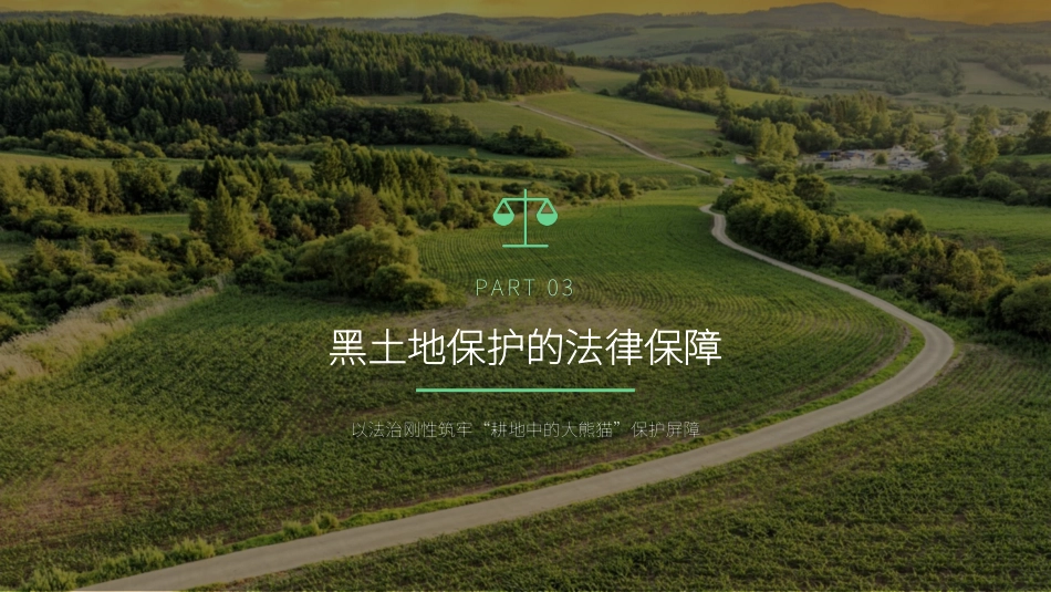 讲稿+PPT课件：黑土耕地保护守护“耕地中的大熊猫”_第10页
