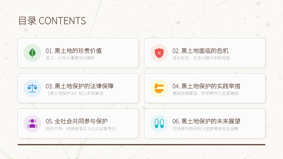 讲稿+PPT课件：黑土耕地保护守护“耕地中的大熊猫”_第2页