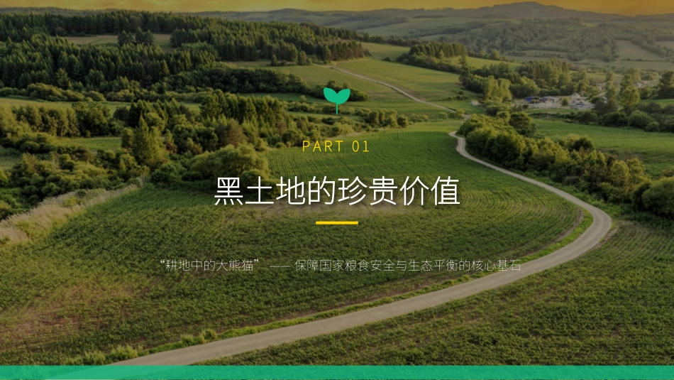 讲稿+PPT课件：黑土耕地保护守护“耕地中的大熊猫”_第3页