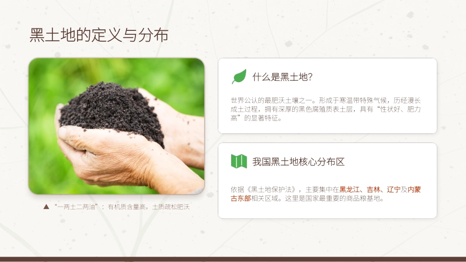 讲稿+PPT课件：黑土耕地保护守护“耕地中的大熊猫”_第4页