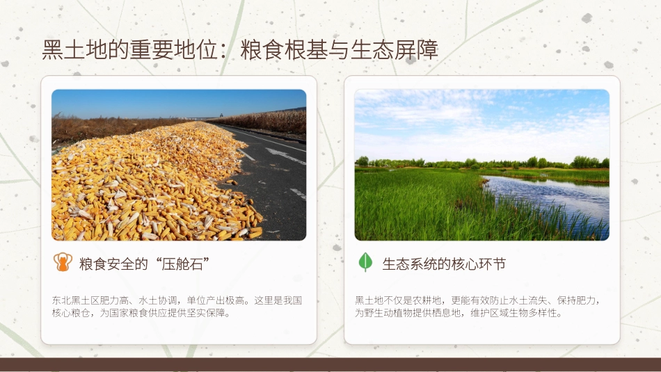 讲稿+PPT课件：黑土耕地保护守护“耕地中的大熊猫”_第5页