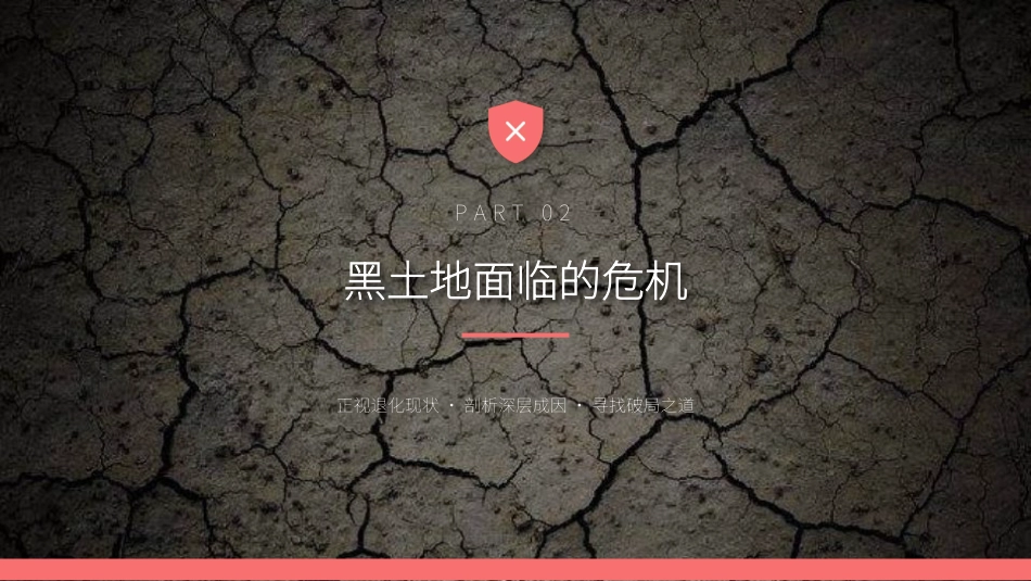 讲稿+PPT课件：黑土耕地保护守护“耕地中的大熊猫”_第6页